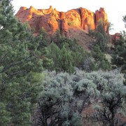 IMG3284.jpg