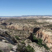 IMG3324.jpg