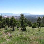 IMG3345.jpg