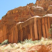 IMG3373.jpg