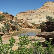 IMG3395.jpg