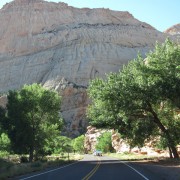 IMG3467.jpg