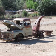 IMG3484.jpg