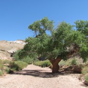 IMG3502.jpg