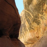 IMG3509.jpg