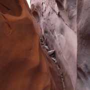 IMG3513.jpg