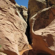 IMG3515.jpg