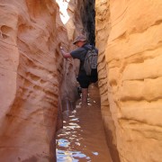 IMG3517.jpg