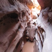 IMG3525.jpg