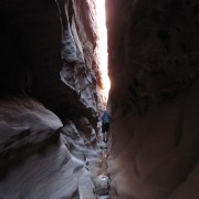 IMG3532.jpg