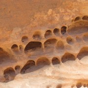 IMG3544.jpg