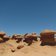 IMG3559.jpg