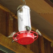IMG3613.jpg