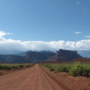 IMG3623.jpg