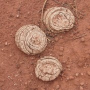 IMG3634.jpg