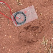 IMG3649.jpg