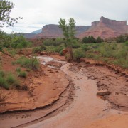 IMG3651.jpg