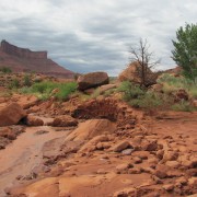 IMG3661.jpg