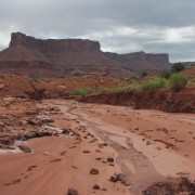 IMG3666.jpg