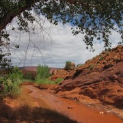 IMG3674.jpg