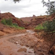 IMG3688.jpg