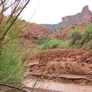 IMG3694.jpg