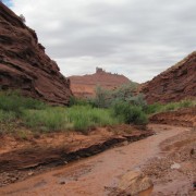 IMG3698.jpg