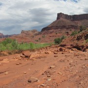 IMG3703.jpg