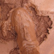 IMG3706.jpg