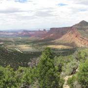 IMG3716.jpg