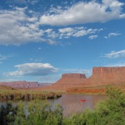 IMG3736.jpg