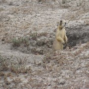 IMG3779.jpg