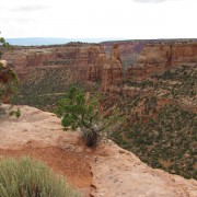 IMG3785.jpg