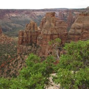 IMG3788.jpg