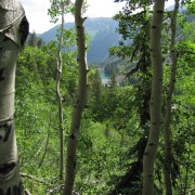 IMG3893.jpg