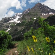IMG3913.jpg