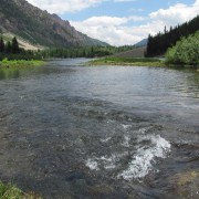 IMG3935.jpg