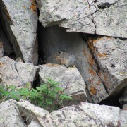 IMG3965.jpg