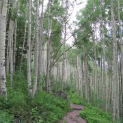 IMG3970.jpg