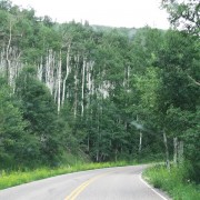 IMG3989.jpg