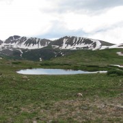 IMG4010.jpg