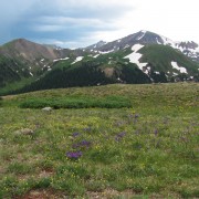 IMG4011.jpg