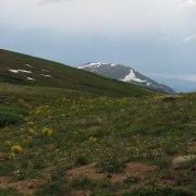 IMG4014.jpg