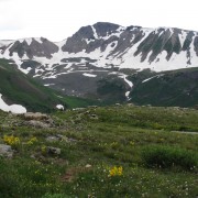 IMG4015.jpg