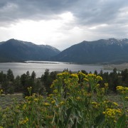 IMG4026.jpg