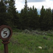 IMG4111.jpg