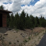 IMG4126.jpg