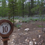 IMG4153.jpg