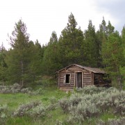 IMG4161.jpg