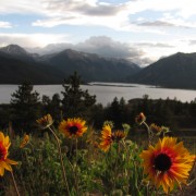IMG4190.jpg